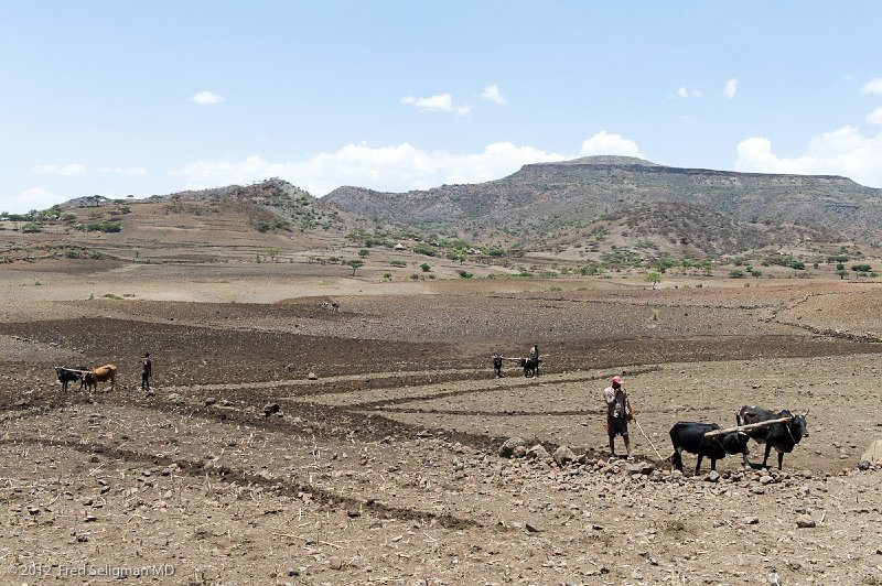 20120402_125206 Nikon D3S 2x3.jpg - Farmers plowing